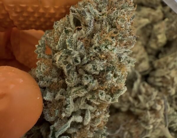 Cookies-3.5G-Strong-Indica.jpg